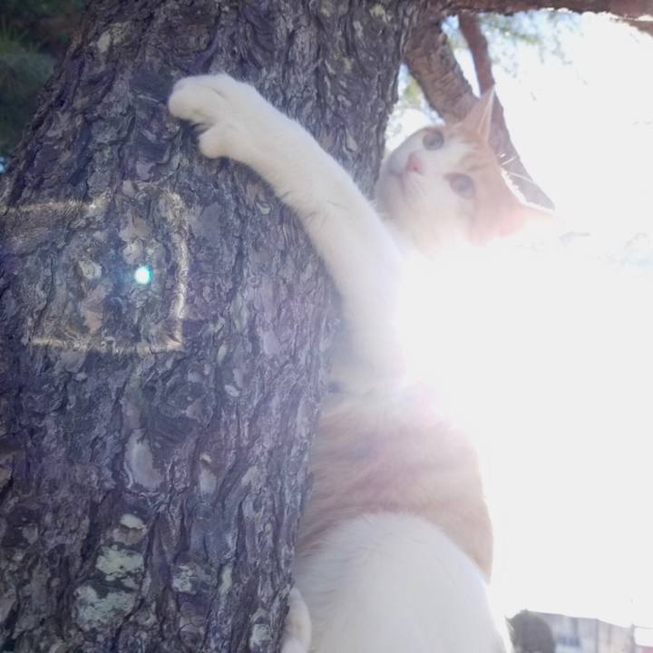 5c403a5d a938 4244 b184 0169775c1c72 1545657271092