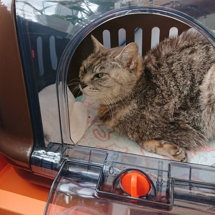 5c40616d bc08 4be4 81fd 0cd24911d9a1 1594887018137