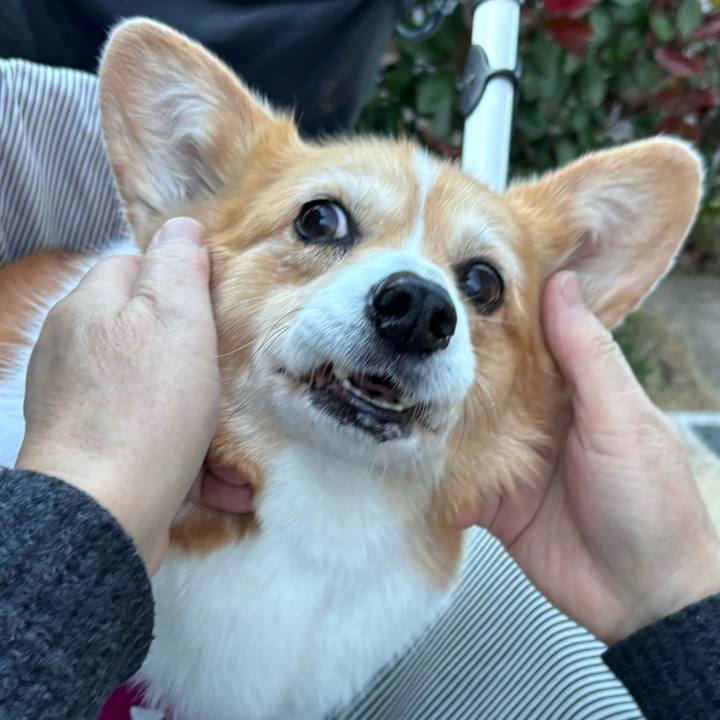 5c408dba 4bf4 46a3 838a 614d4bc1c3cf 1735633402263