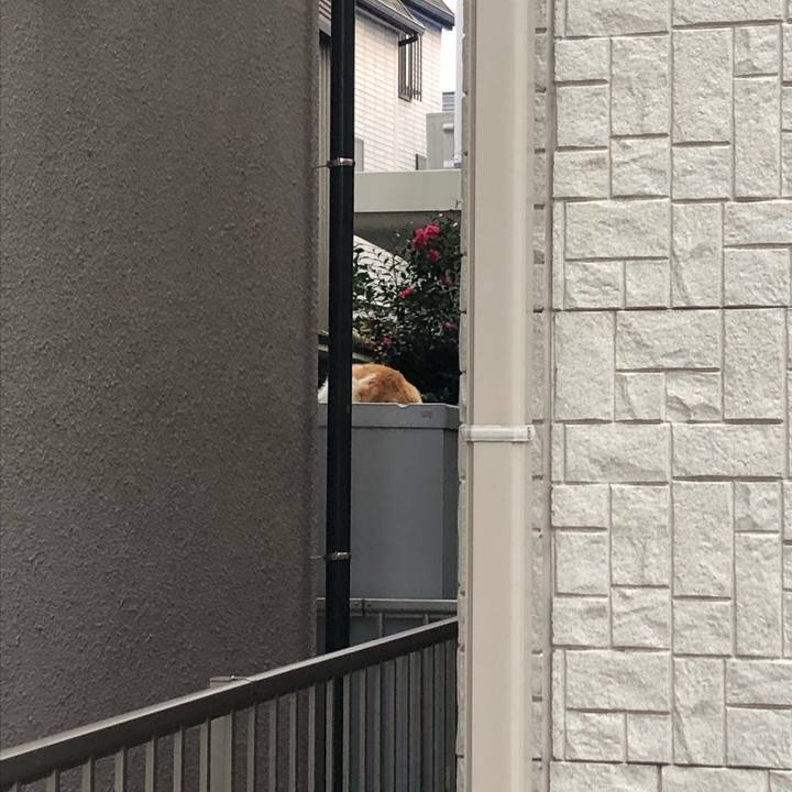 5c409937 065e 4219 a66b 5b93c5baab39 1575206975046