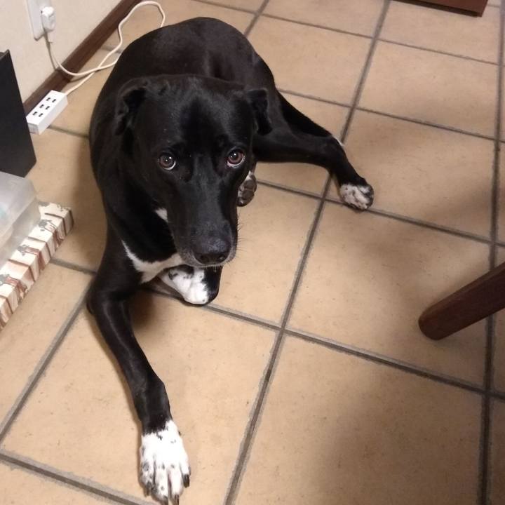 5c40ce94 1a2c 4b16 8368 8288ee7023f4 1599404114647