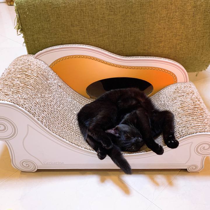 5c41082c 4221 49cb 9cf3 df4aacbb195d 1556361178369