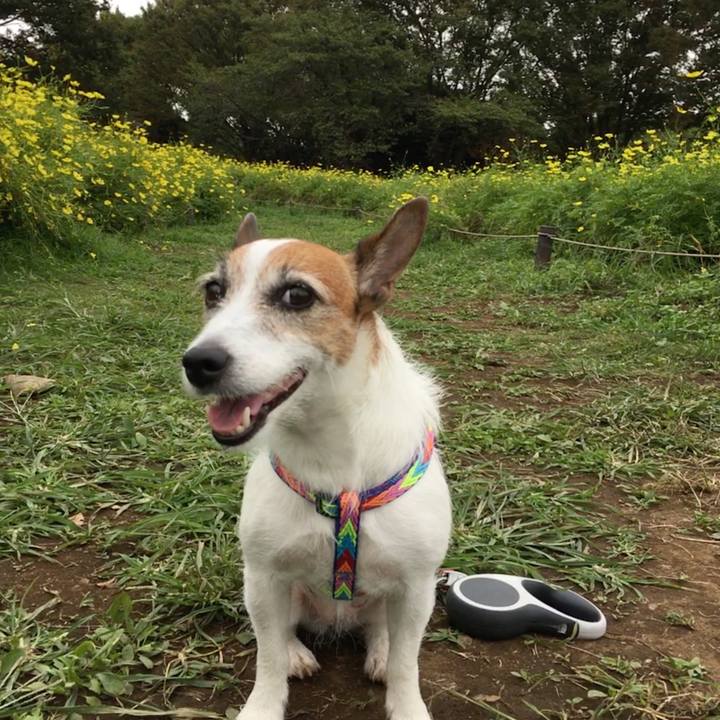 5c417911 12bf 48d8 bddd 9b15e8506d0e 1569113357791