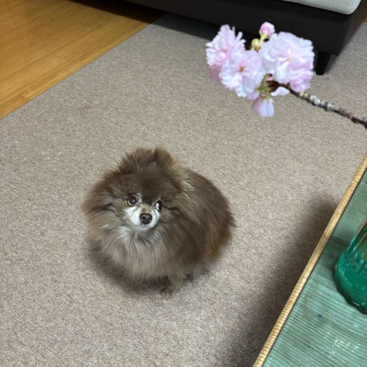 5c41bac9 980d 4d2a 9771 d42efd73269b 1744583510878