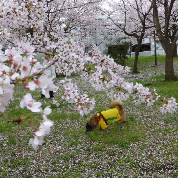 5c41c149 c59f 488f b990 60217fa481e0 1617323488296