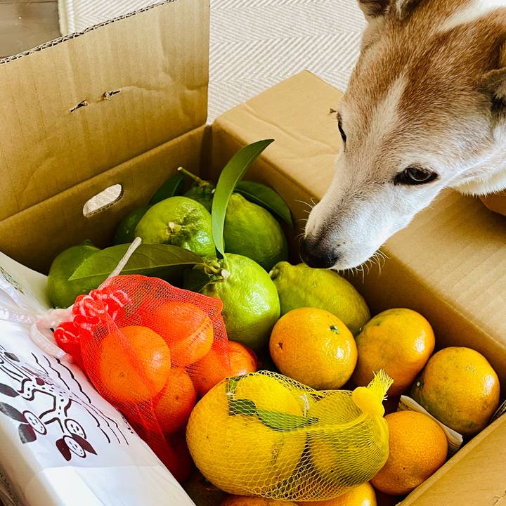 5c41d6f5 1a03 414c ab8f 569b339b5884 1762509096356