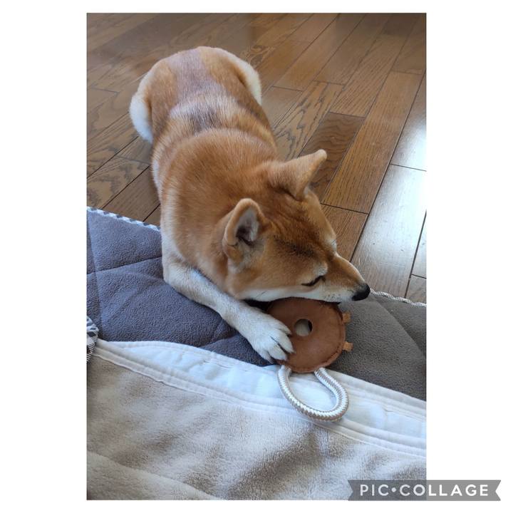 5c41e7be 0028 4bbb 90cb 4f6858284960 1702288529088