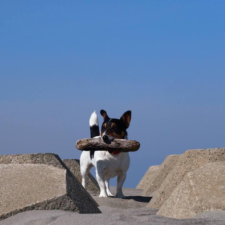 5c42183c 7224 497d a843 6c6114b042ea 1620812489906