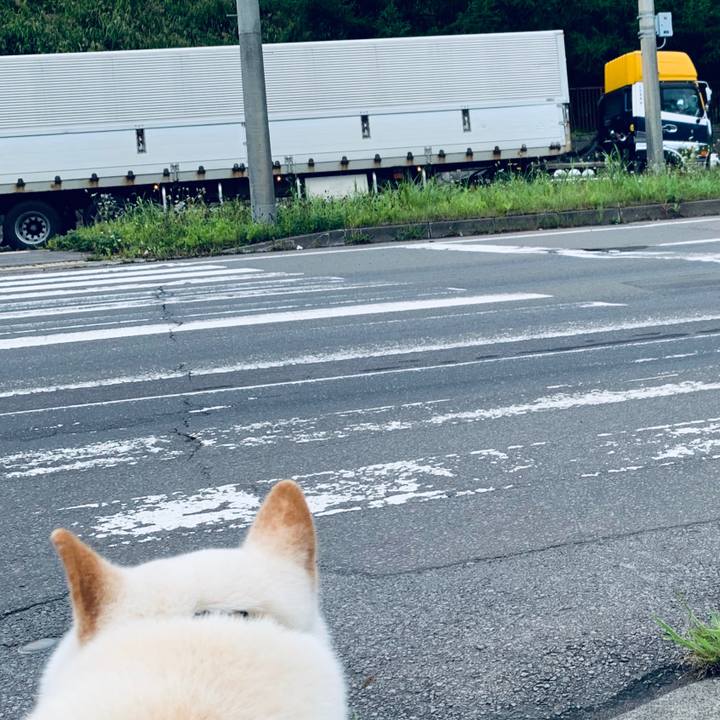 5c423ec1 4182 4972 ac5f 74aa95d3ab04 1598911136843