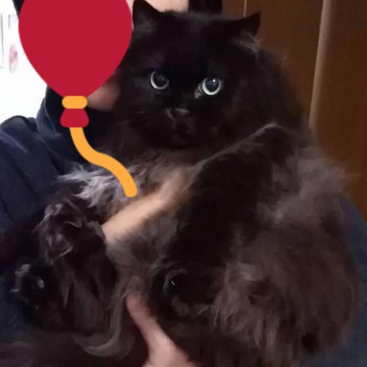 5c42740f 6a78 452c 9010 c48b398c485a 1512903606491