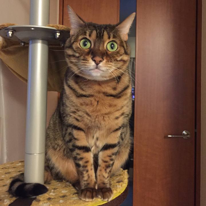 5c427a17 3dde 48b9 919f ac98cfac67f5 1518643940451