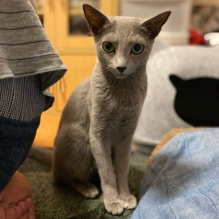 5c42a086 384a 42eb 8386 2cb0297fe7fa 1629932182770