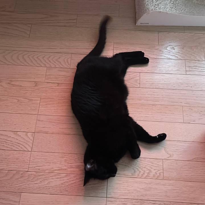 5c42b1fd 0445 4a33 b2f8 840cde5cda83 1772353981841