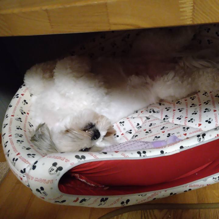 5c4307a2 0973 410a aaf4 40e0832c4624 1633614889653