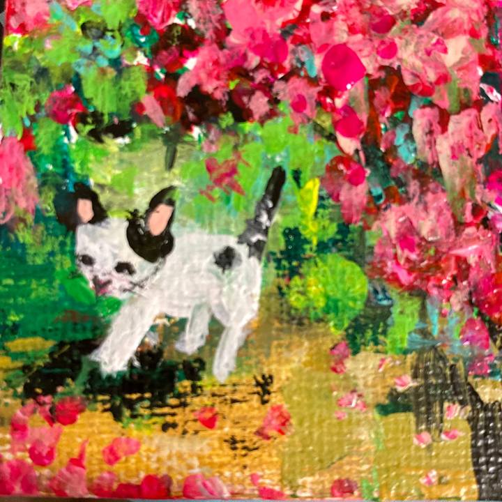 5c432356 06cc 4491 aa1f 0581a522edb0 1669733063757