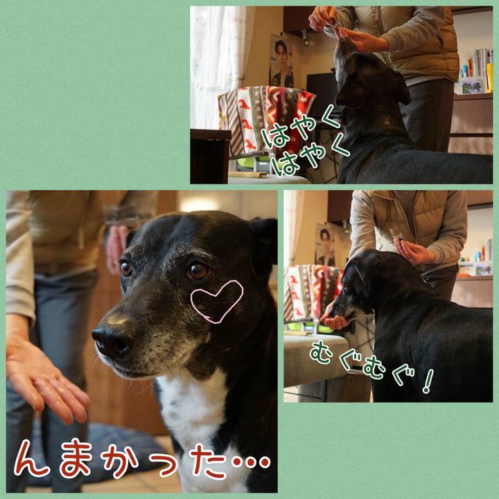 5c435044 ff5d 4b78 a61b fa0cb63b0ba8 1770856562145