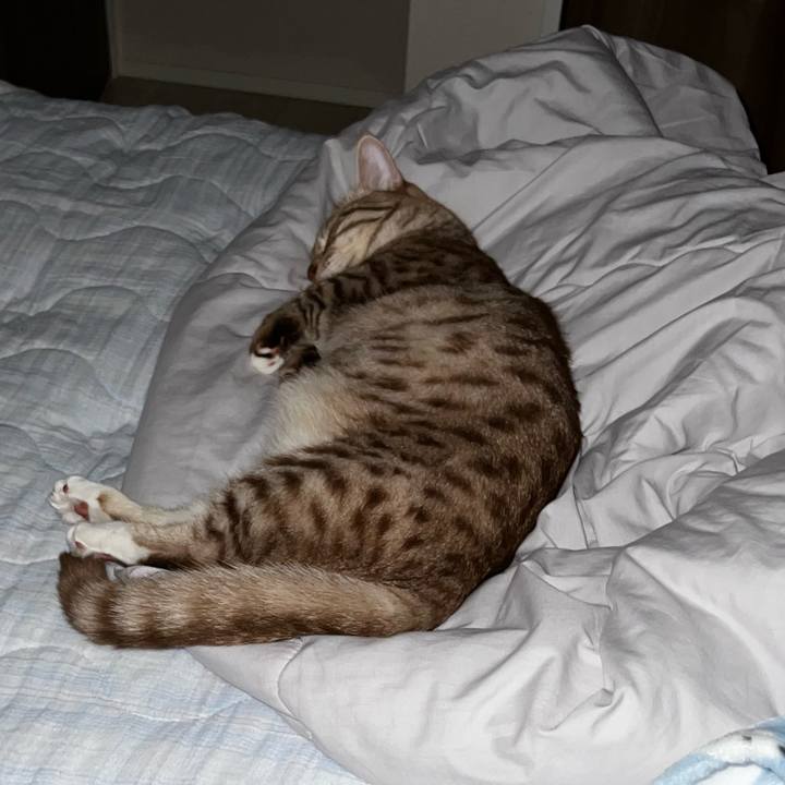 5c435359 6e98 4163 9c32 8d96c918e803 1663940461785