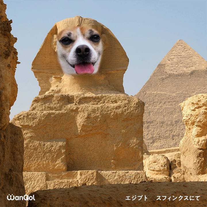 5c435e8a bddd 4113 aff6 579b1b3cbd4e 1615293888652