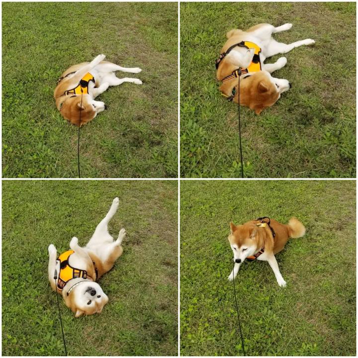 5c4371ea 7aed 40e6 986e d35e6bb7a524 1602309400784