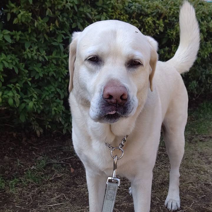 5c43bc9e e738 4f2d 8042 483e90f523b5 1646276326739