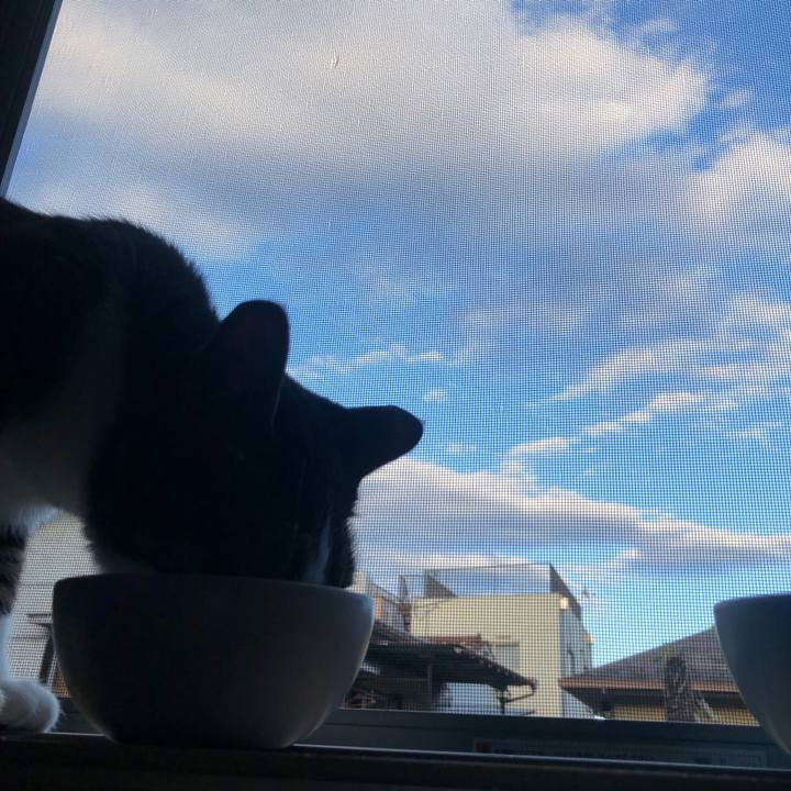 5c441a2e 865e 4f3c a2a2 3b311f20637d 1628626579064