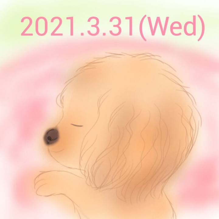 5c441ecd 1983 4743 98db a88f9b1fe549 1617190337815