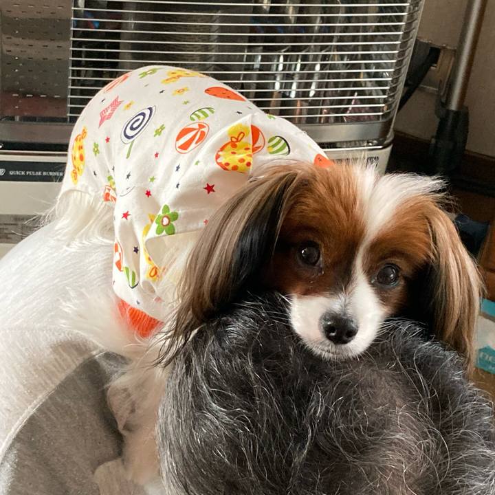 5c4420f0 093f 464d 9280 5223c70af051 1636770459826