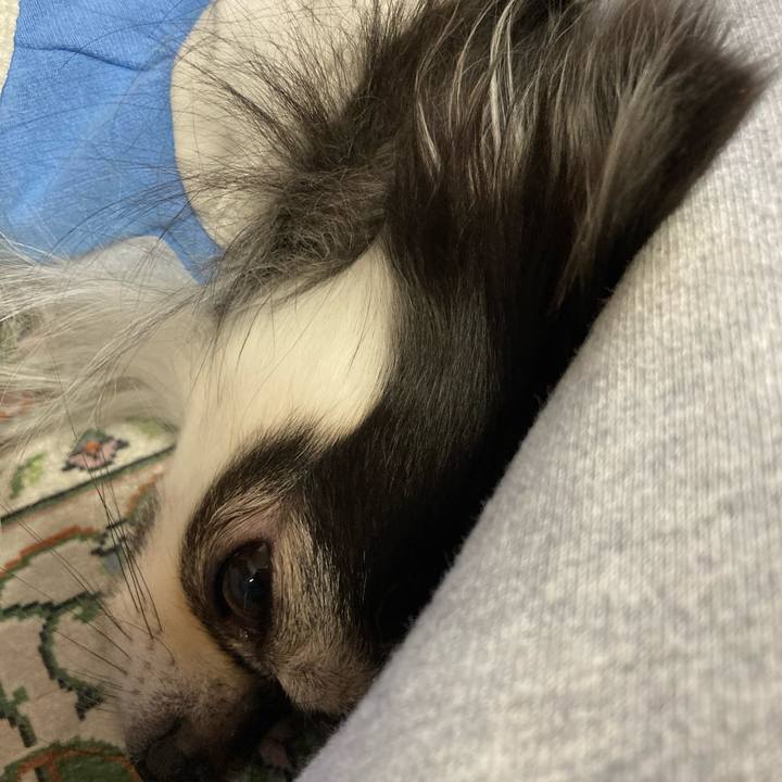 5c442b00 bcb7 4619 8117 d2705fe9f486 1667110018227