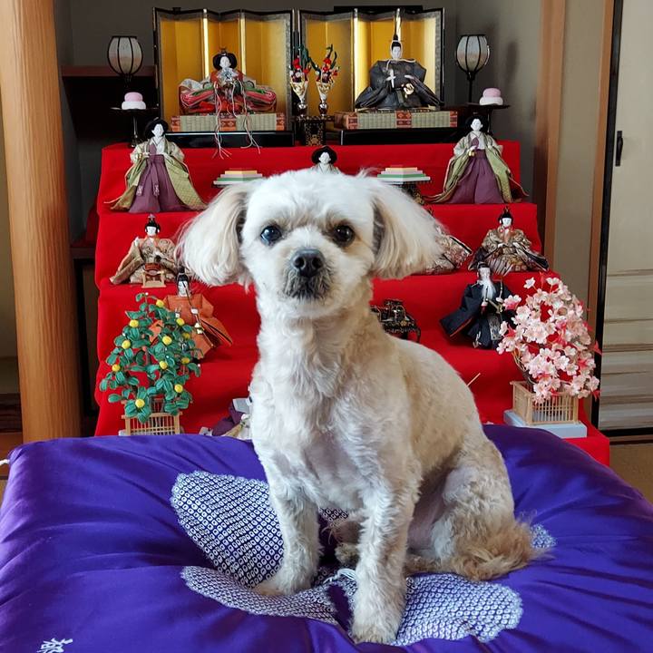 5c443f1d 3963 4238 a1e3 3d2873d51eda 1645947578514