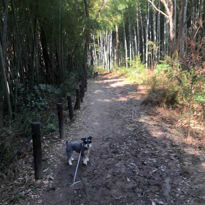 5c444ef3 3121 469b a6a1 f821c1a2181c 1645743024117