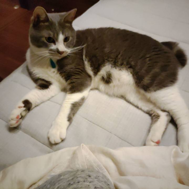 5c4494c0 739b 4bea 820b aa0eb019f3f1 1655299612345