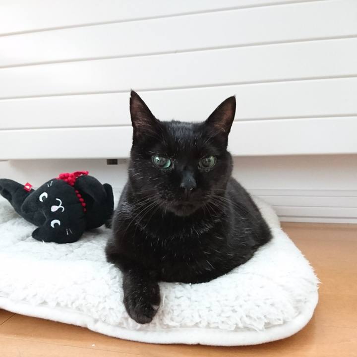 5c4499fa 97c3 4a8a ad36 22b38c41fa0f 1576539666525