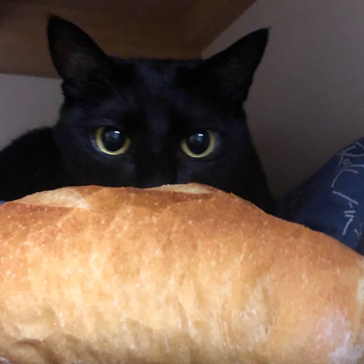 5c44a8ea 2267 4e4b bb8e 98aeb61c0c82 1579869132468