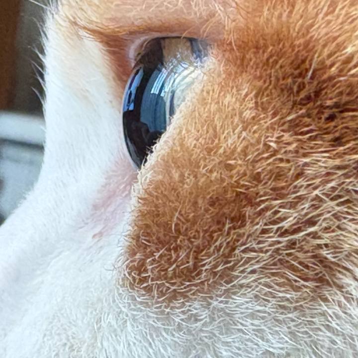 5c44bdb3 75fe 43e0 a421 38cac8fb00d5 1765089987503