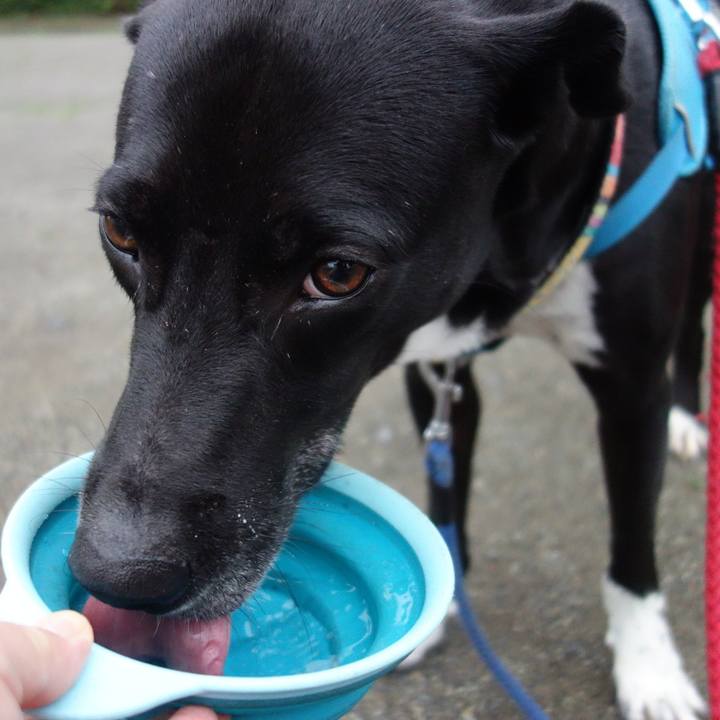 5c4524ac a450 4623 9a5c d1c4f9ede07e 1625567291424