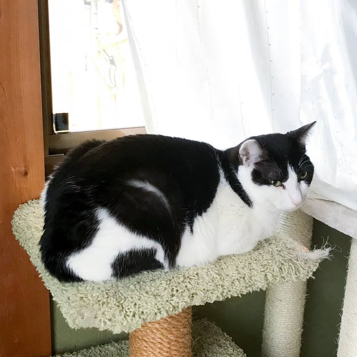 5c455dbe fb35 4c1a bf97 b2c638ec2586 1522074232957