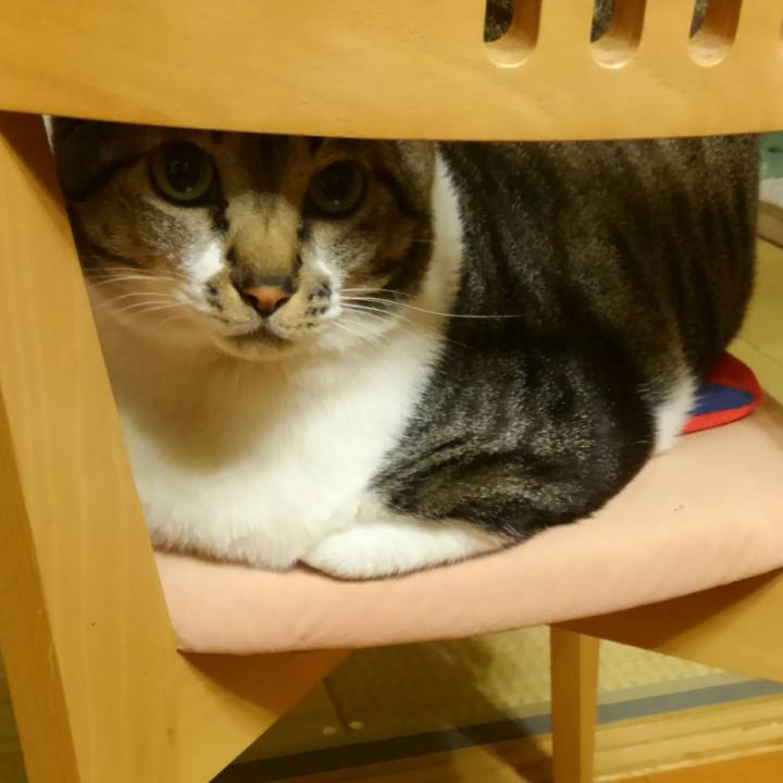 5c457b06 3f7c 413a 8646 a222701db345 1516020064872