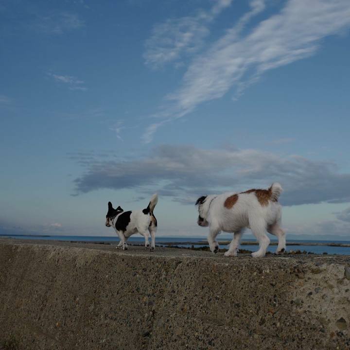 5c45c6e1 3b02 46ec b8a1 8a66eebd3a2d 1508212730113