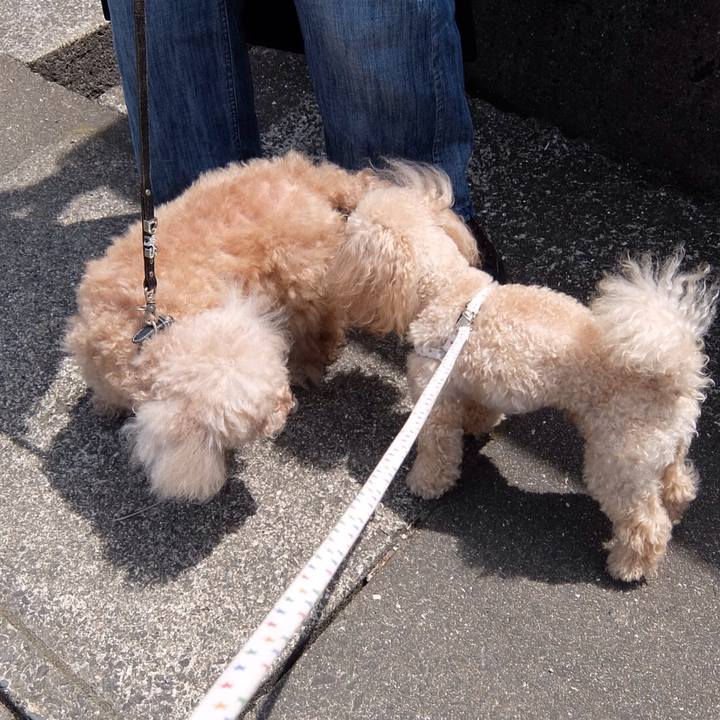 5c45effa 2f5d 4eed b0d7 e993801e292f 1557054258743