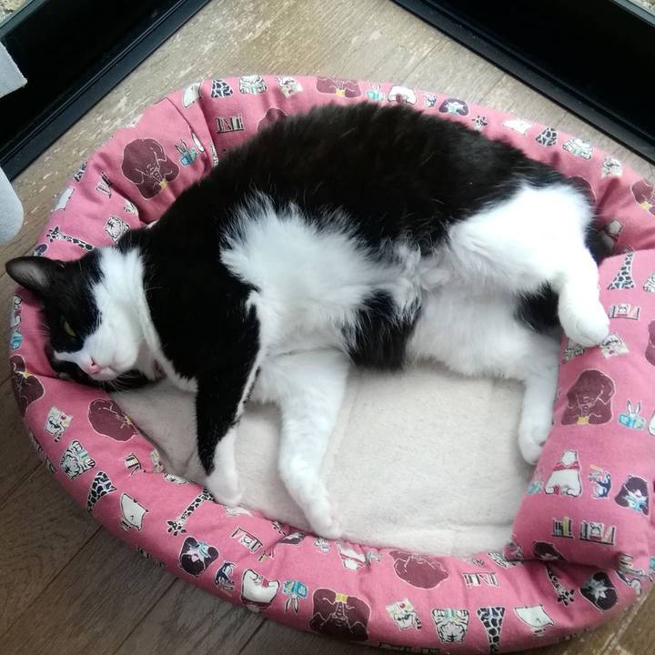 5c464bd5 2b5e 41f4 a58e e26207b6ac5f 1564311407551