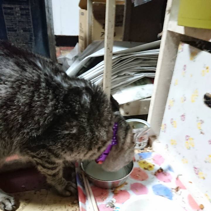 5c468b56 f0c3 438e 8401 1eaa33a6610a 1583530560489