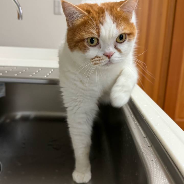 5c469faf bb12 4a7d b620 97c08bade559 1773974565659