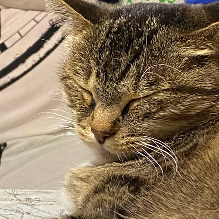 5c46a683 85d9 4b79 a807 3cbc2560b3b1 1608735895030