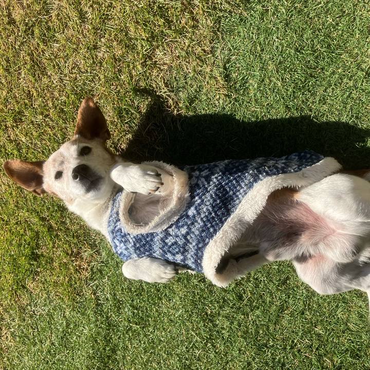 5c46d95b b134 4b18 9e4c f6fa6b3c5783 1764462195578