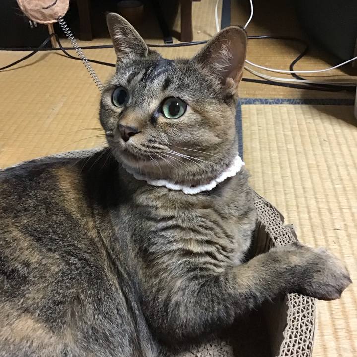 5c47139f 7630 40e3 8ee9 24baf73d2cdb 1689509767219