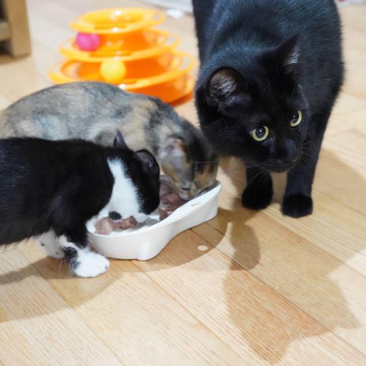 5c4764dc f684 451c af55 3ae7616fe957 1567990533296