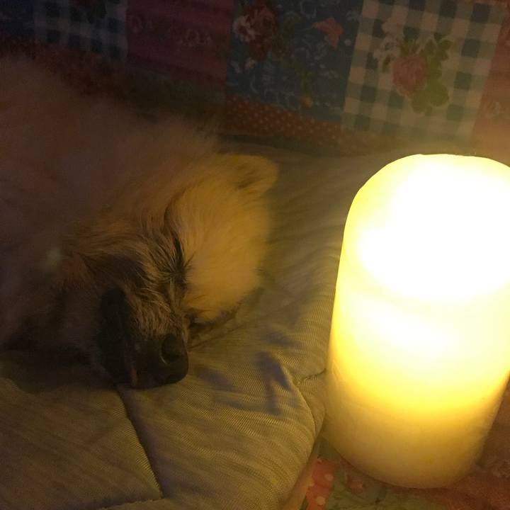 5c47850c 184a 439d a019 253df813d90a 1532881638611