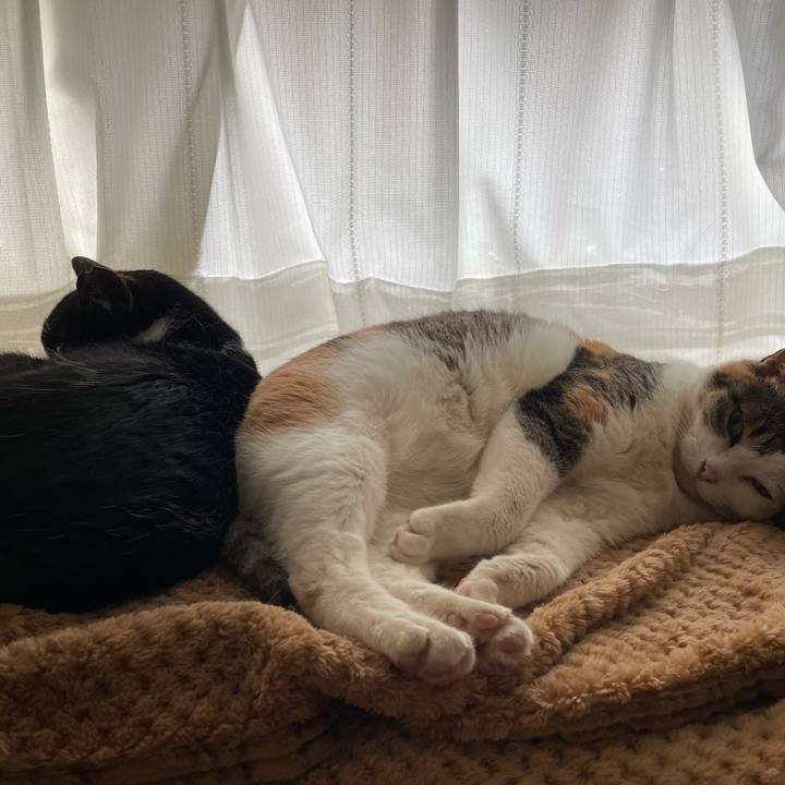 5c478c97 2961 4850 b1b8 31f9ce60fe75 1718606009425