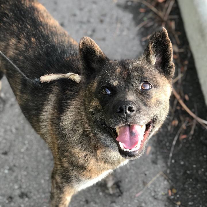 5c478e08 9d30 4fb0 bb8d a945c10cc000 1534420523797