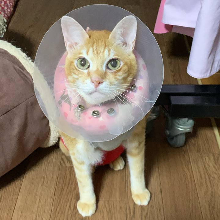 5c4797a0 3c54 4fda b1bb d1a932007b09 1629287101916